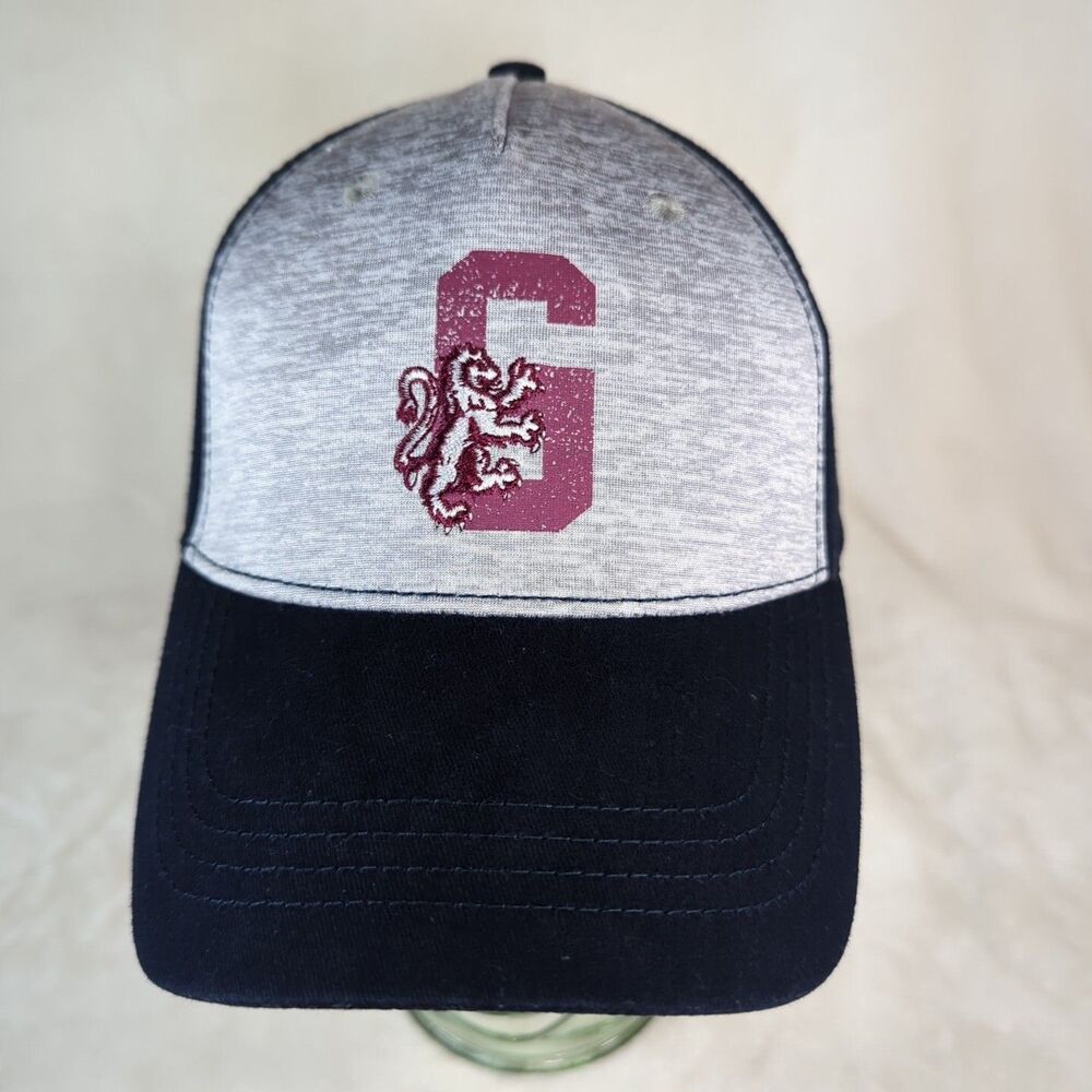 Harry Potter Gryffindor Hat Youth Strap Back Adjustable Gray/Navy Cap 2018